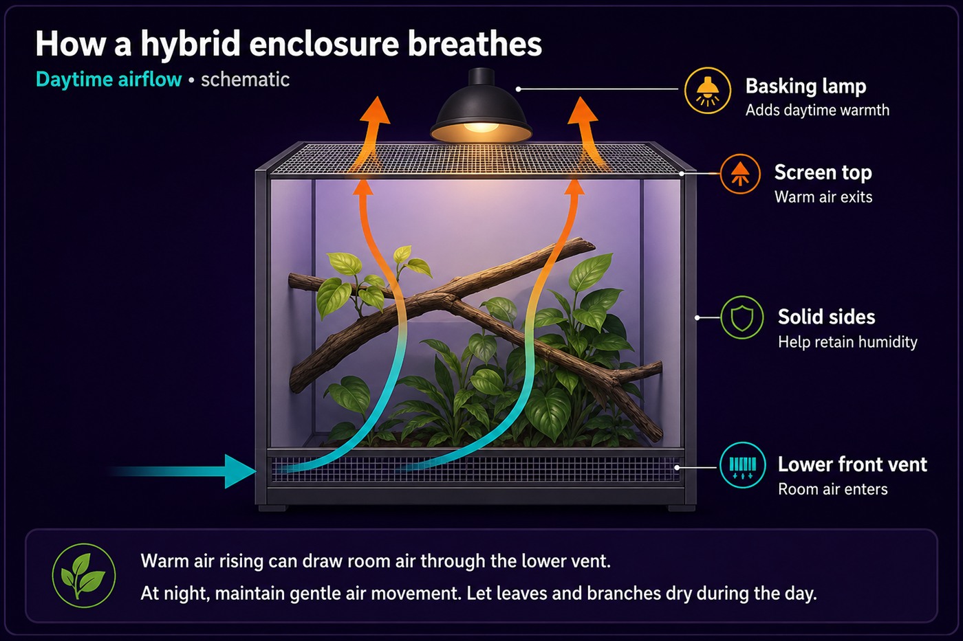 Cutaway of a hybrid chameleon enclosure showing daytime airflow. A basking lamp above the screen top warms the air inside; orange arrows show it rising and leaving through the screen. Blue arrows show cool room air being drawn in through the vent along the lower front to replace it. Labels mark the basking lamp, the screen top where warm air exits, the solid sides that help retain humidity, and the lower front vent where room air enters.