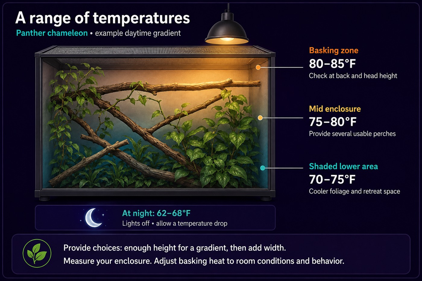 An example daytime temperature gradient inside a chameleon enclosure. The basking zone near the lamp reads 80 to 85 Fahrenheit, checked at the animal’s back and head height. The mid enclosure reads 75 to 80 Fahrenheit with several usable perches. The shaded lower area reads 70 to 75 Fahrenheit among cooler foliage. A night panel shows 62 to 68 Fahrenheit with the lights off, allowing a temperature drop. A footer reads: provide choices, enough height for a gradient then add width, measure your enclosure, and adjust basking heat to room conditions and behavior.