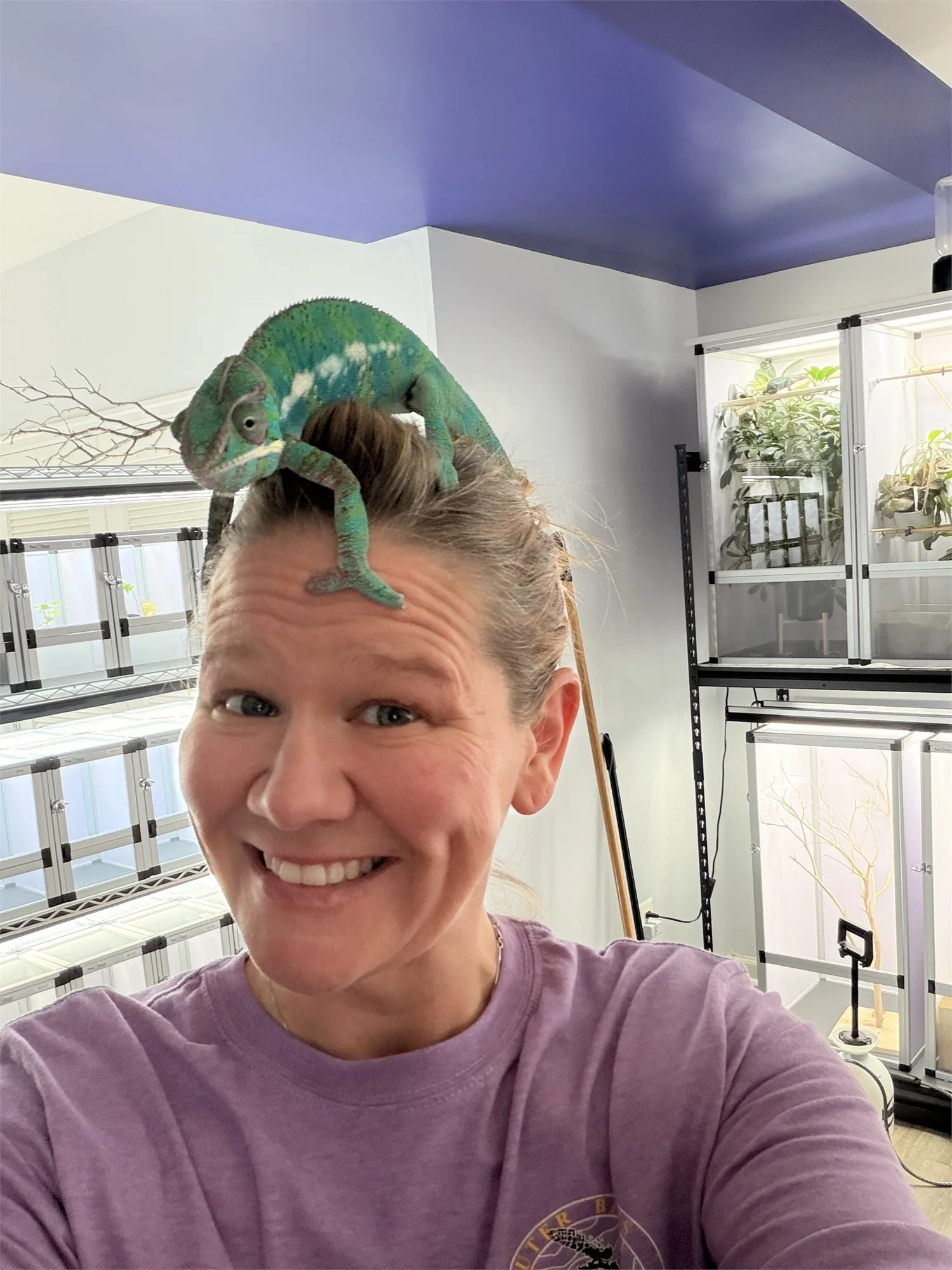 Amanda with a panther chameleon perched on her head