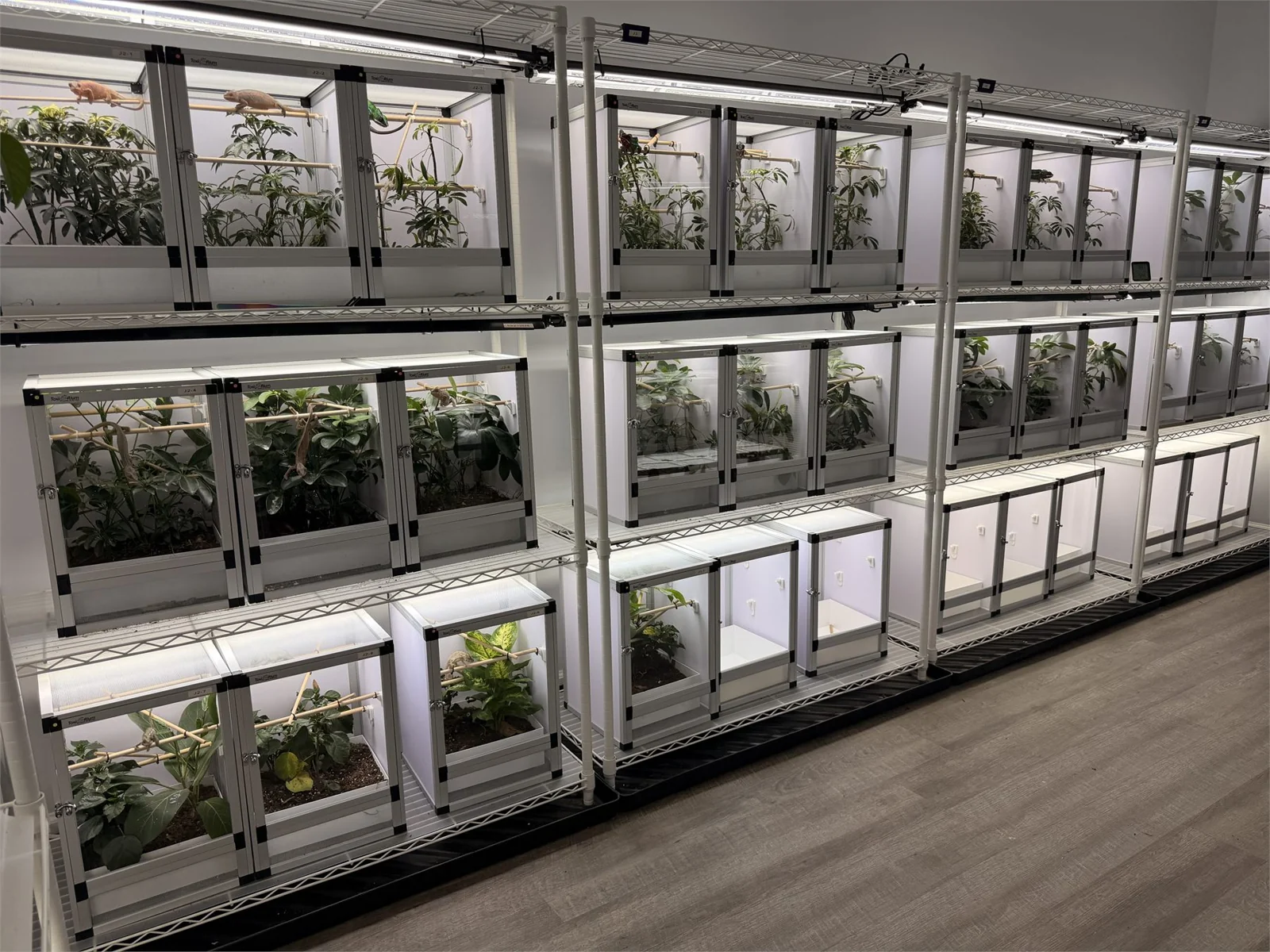 Racks of individual bioactive chameleon enclosures