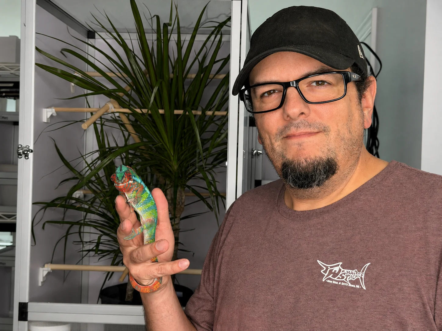 Keeper holding a panther chameleon beside a planted enclosure